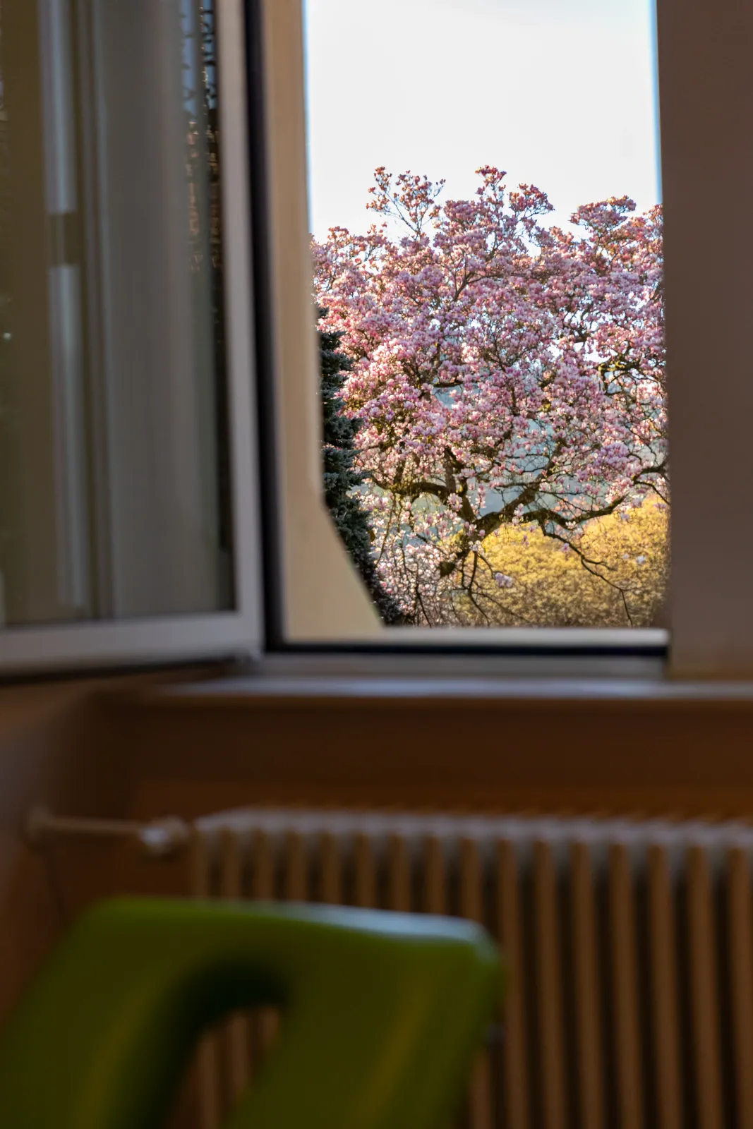 Impression aus unserer Praxis